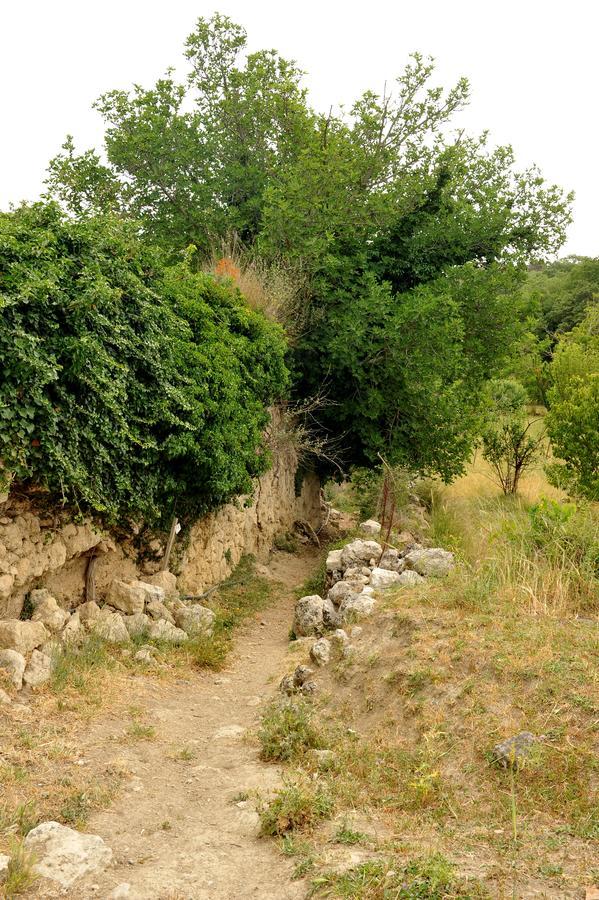 Villa Axenti Agios Thomas  Bagian luar foto